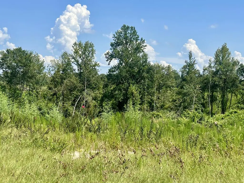 0 Cr 8, Stringer, MS 39481 - #1