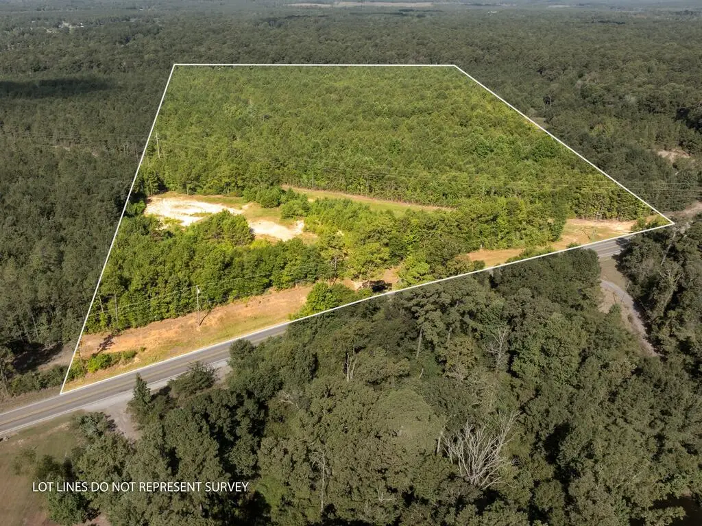1424 Hwy 29 N, Ellisville, MS 39437 - #1