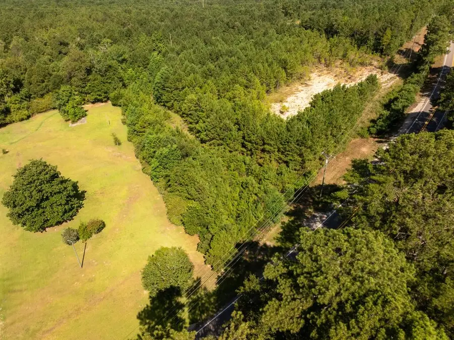 1360 Hwy 29 N, Ellisville, MS 39437 - #3