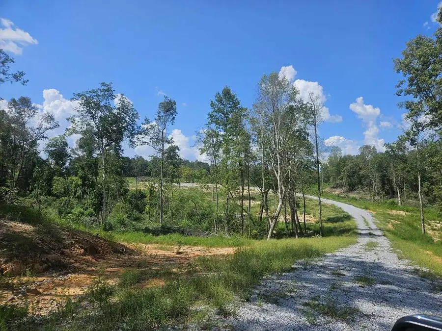 34 ACRES Long, Ellisville, MS 39437 - #2