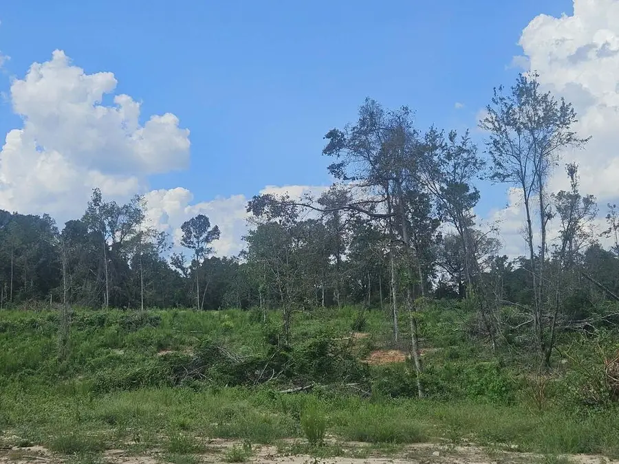 34 ACRES Long, Ellisville, MS 39437 - #3