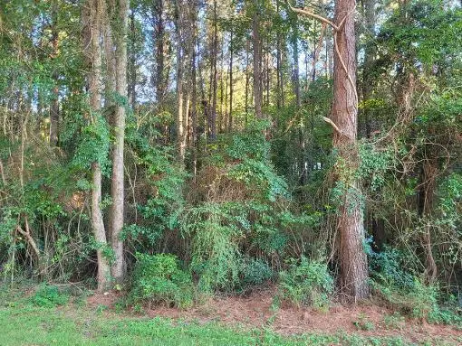 0 Parkwood Drive, Laurel, MS 39443