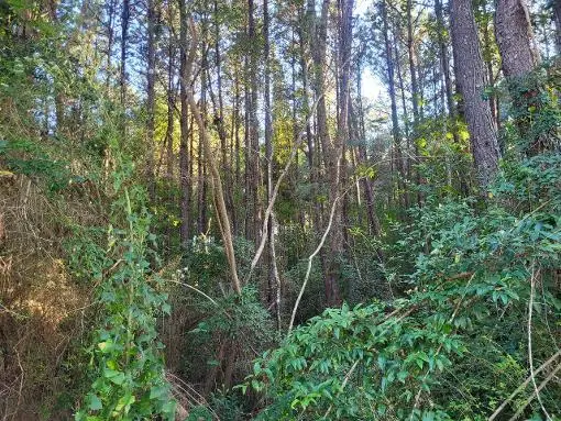 0 Parkwood Drive, Laurel, MS 39443 - #2