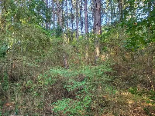 0 Parkwood Drive, Laurel, MS 39443 - #3