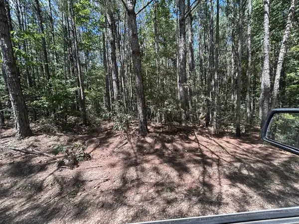 1603 Cr 39, Paulding, MS 39348