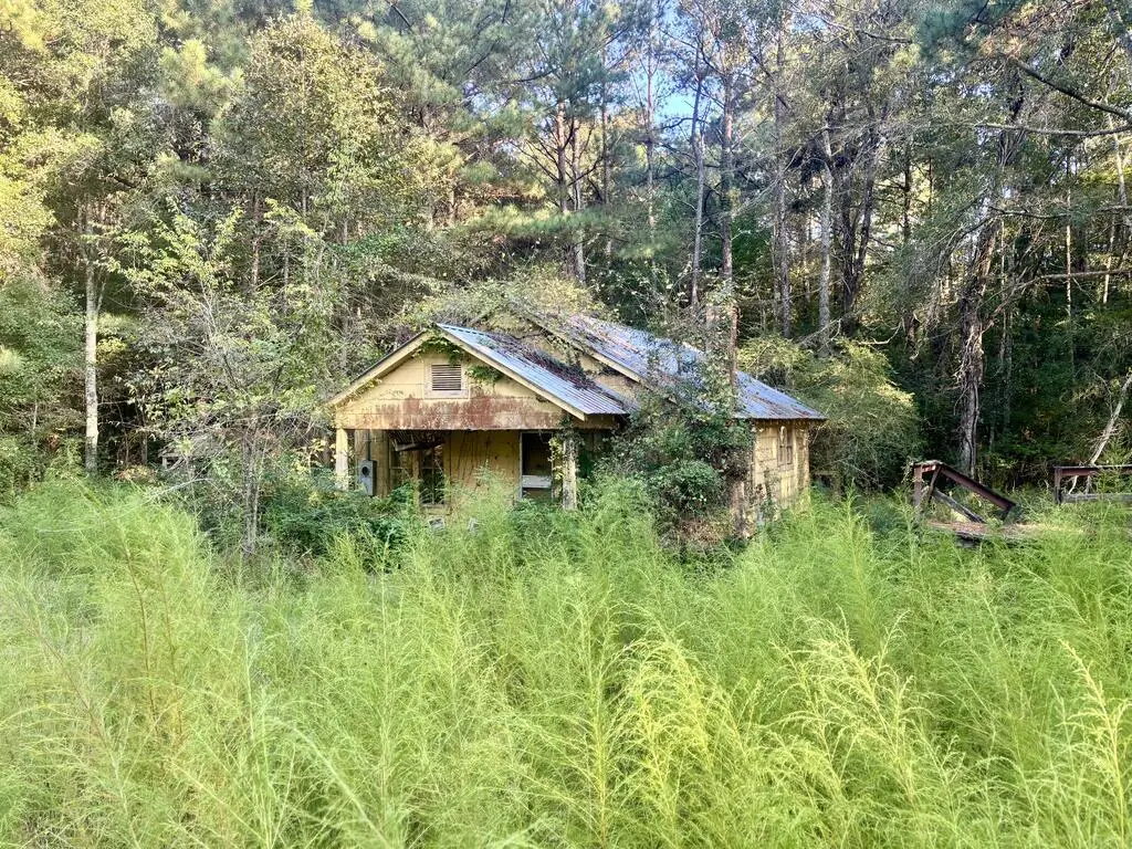 2952 Highway 18, Louin, MS 39338 - #1