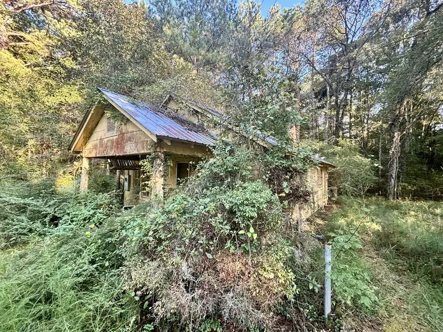 2952 Highway 18, Louin, MS 39338 - #2