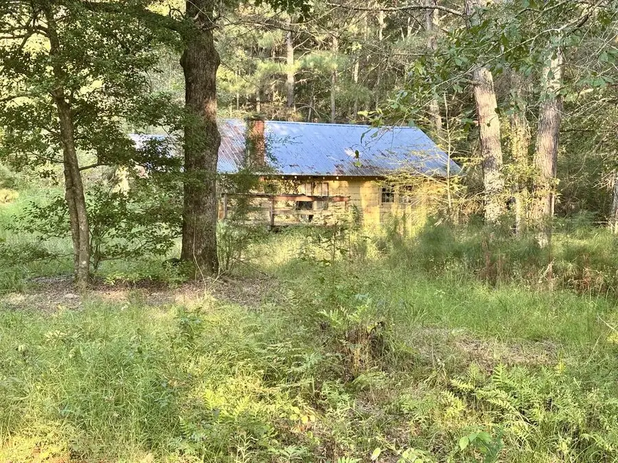 2952 Highway 18, Louin, MS 39338 - #3