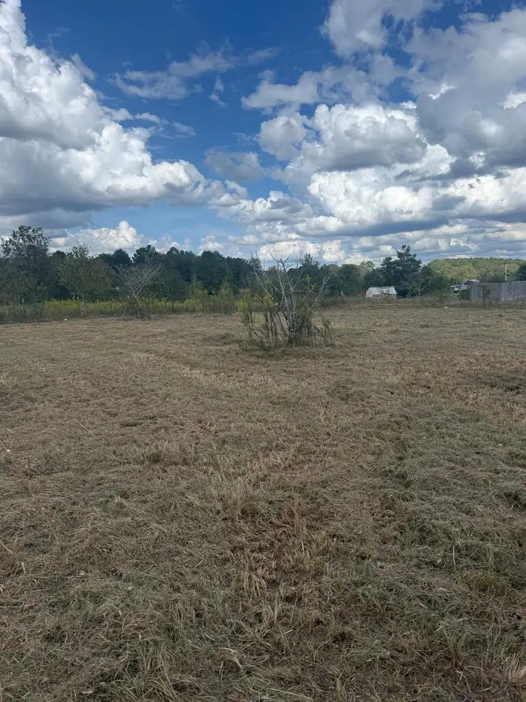 101 Bush Butler Rd, Ellisville, MS 39437 - #2
