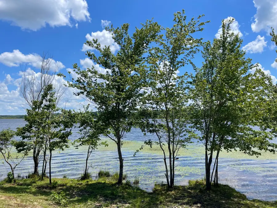 Cr 432, Rienzi, MS 38865 - Image #3