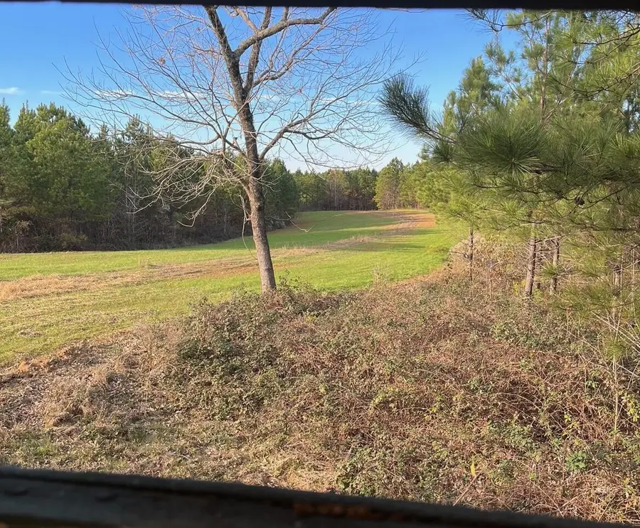 Tuscumbia Road, Blue Springs, MS 38828 - Image #3