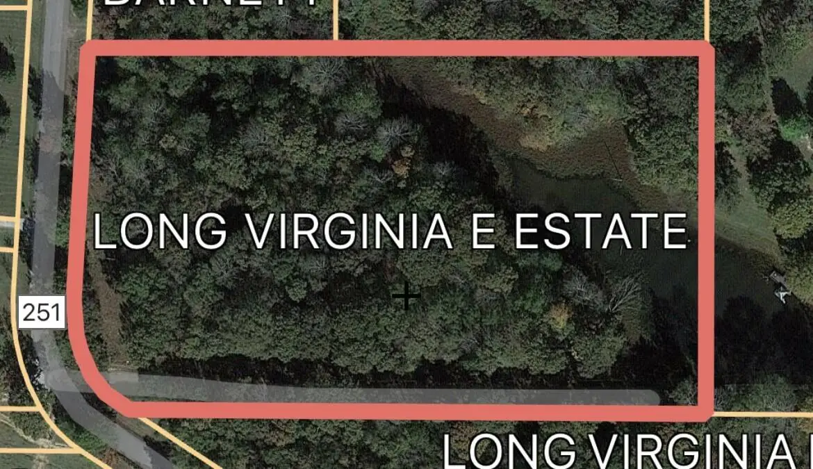 Tract 5 Cr 251, Saltillo, MS 38866 - Image #1