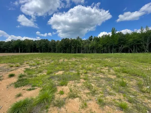 Lot 38 Lynnlee Lane, Myrtle, MS 38650 - Image #2