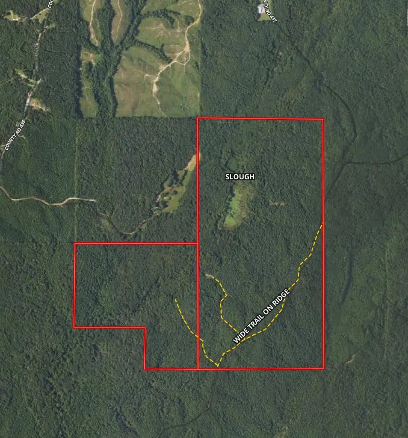 Cr 437, Ashland, MS 38603 - Image #1