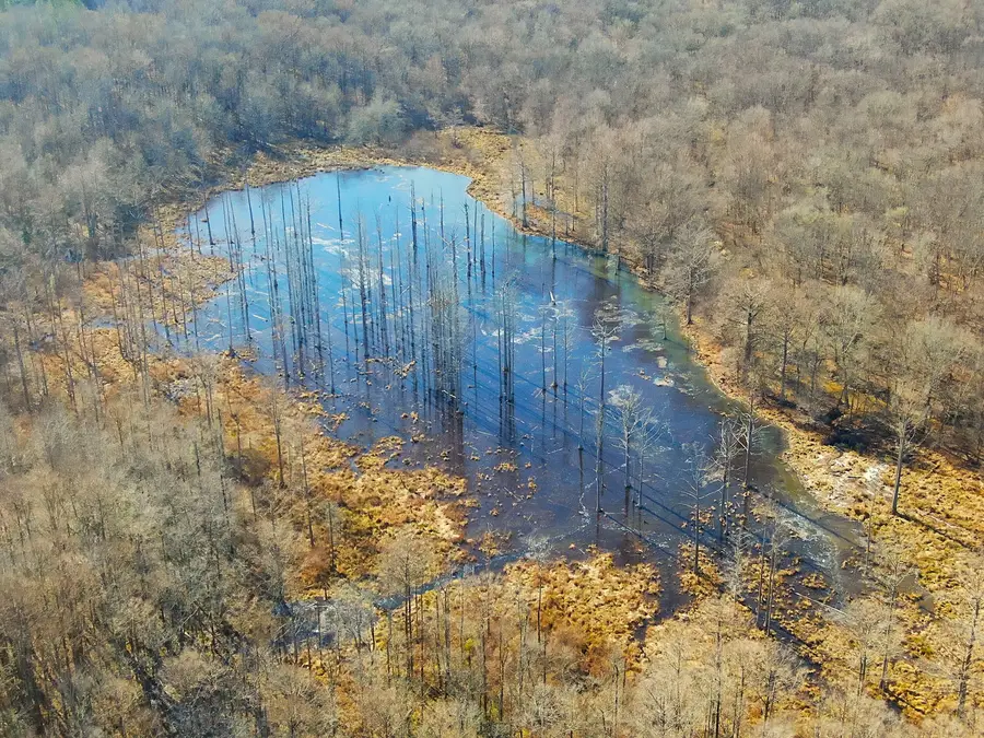 Cr 437, Ashland, MS 38603 - Image #3