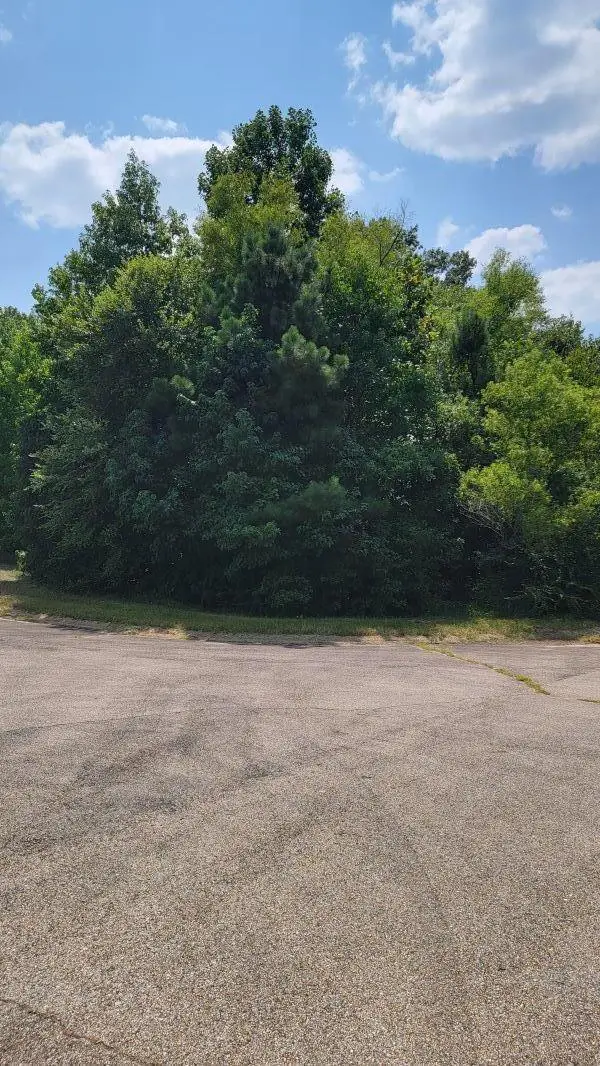 Lot 264 Highland Ridge Dr, Saltillo, MS 38866 - Image #2
