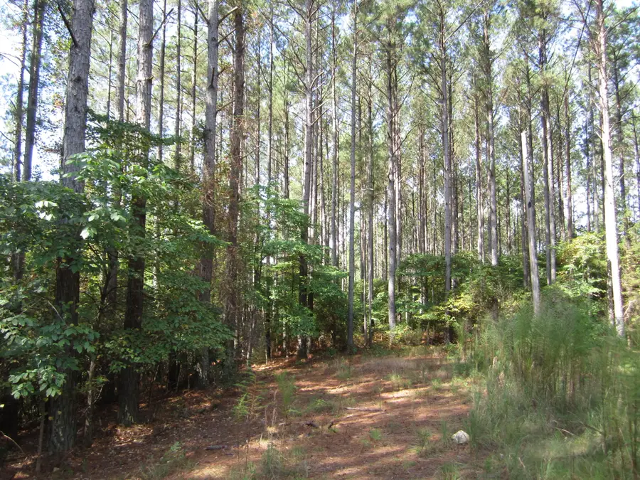 Pine Ridge Cove, Iuka, MS 38852 - Image #2