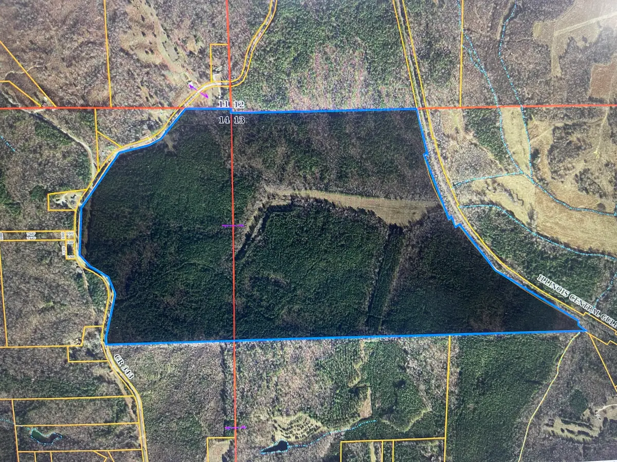 Cr 343, Glen, MS 38846 - Image #1