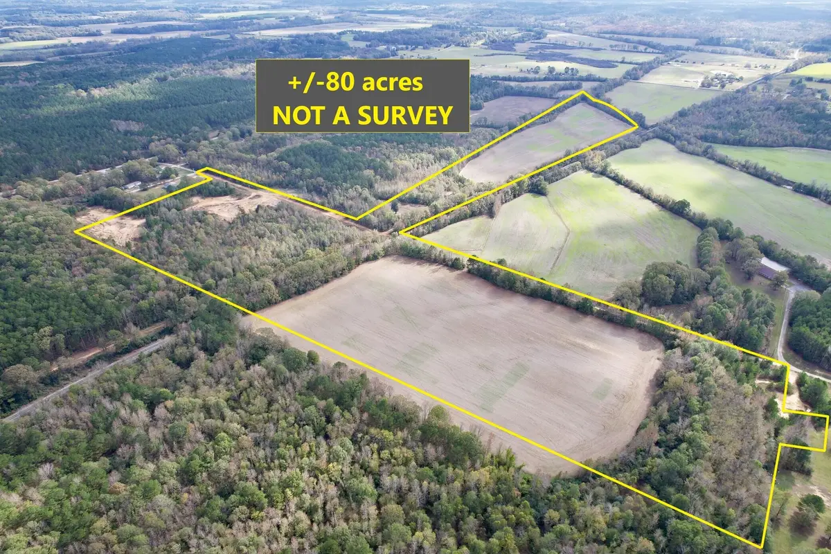 Emmanuel Drive, Baldwyn, MS 38824 - Image #1