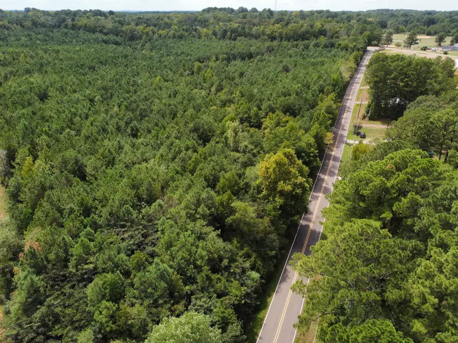 Lot 6 West South Street, Kosciusko, MS 39090 - Image #3