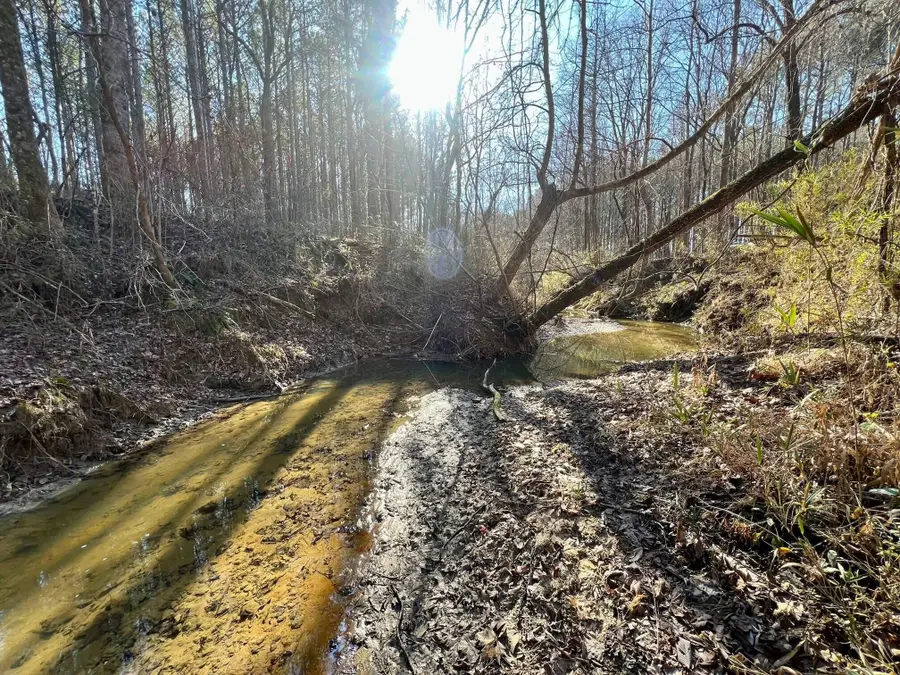 Cr 170, Baldwyn, MS 38824 - Image #2