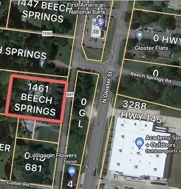 1461 Beech Springs Rd, Saltillo, MS 38866 - Image #2