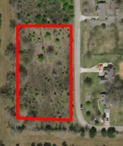 Ray, Walnut, MS 38683