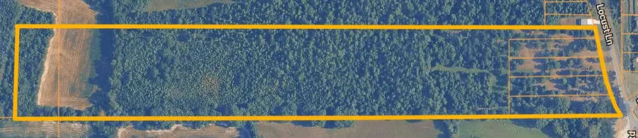 Locust, Tupelo, MS 38801 - Image #2