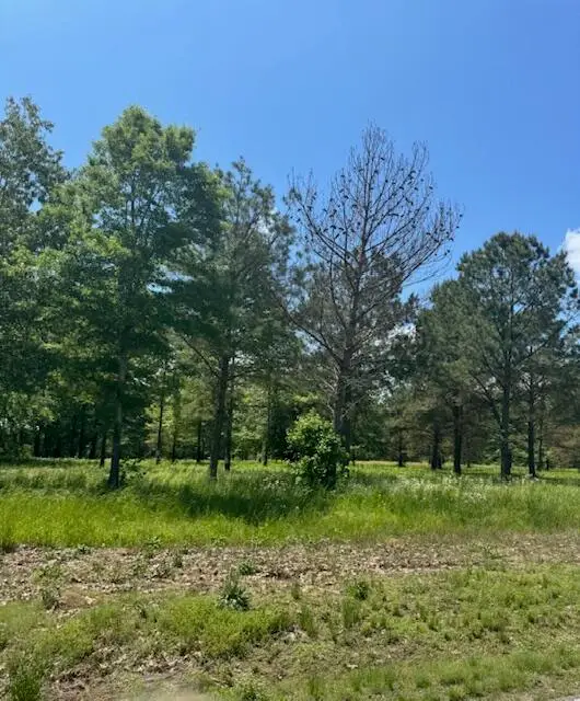 Locust, Tupelo, MS 38801 - Image #3