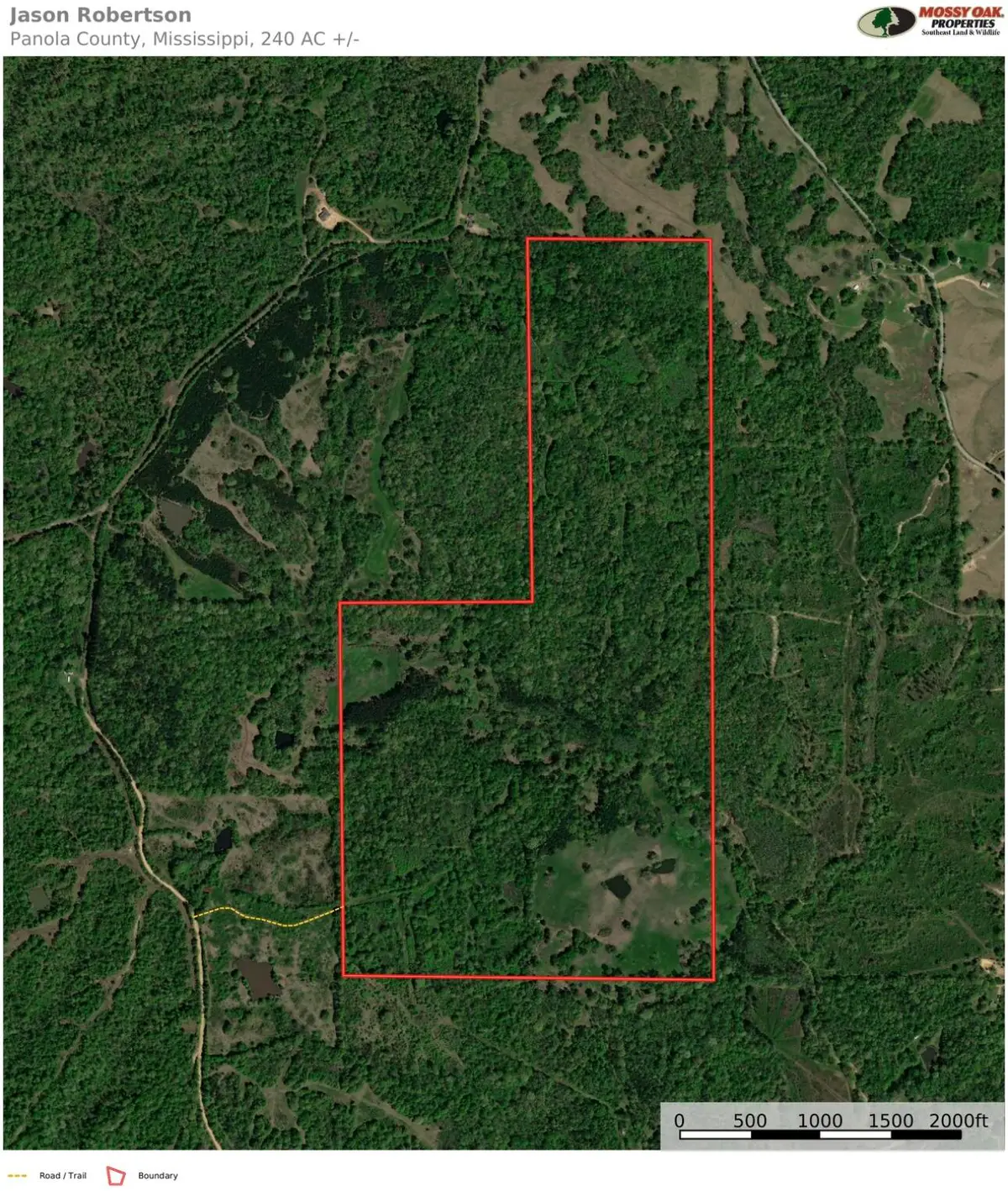 Indian Creek Rd, Crenshaw, MS 38621 - Image #1