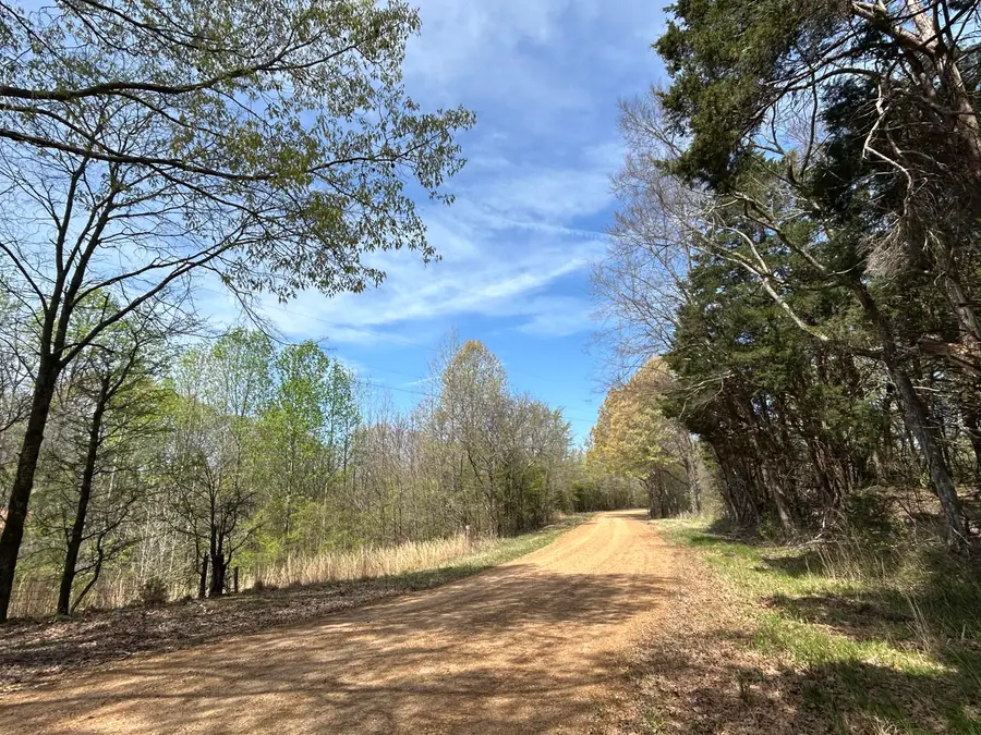 Indian Creek Rd, Crenshaw, MS 38621 - Image #3