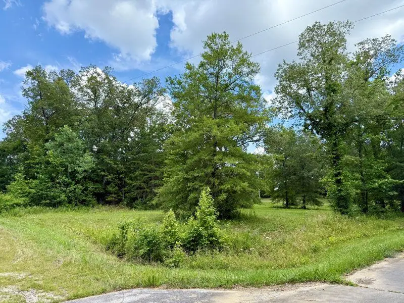 Lot 10 Nottingham Dr, Booneville, MS 38829 - #3