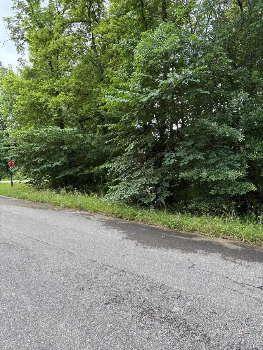 Nottingham Lane, Lot 1, Booneville, MS 38829 - Image #3