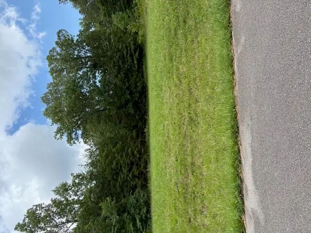 Nottingham Lane, Lot 9, Booneville, MS 38829 - Image #3