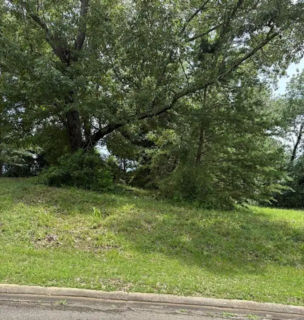 Kayewood Drive, Lot 15, Booneville, MS 38829 - Image #3