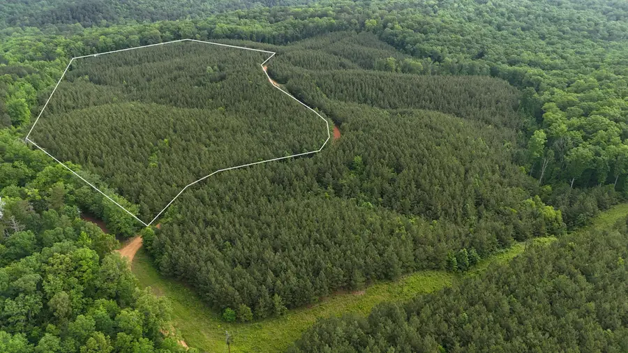 0 Cr 323 (23 Acres), Iuka, MS 38852 - Image #3