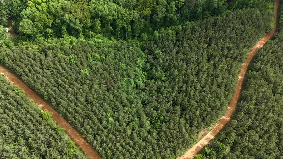 0 Cr 323 & Cr 310, Iuka, MS 38852 - Image #2