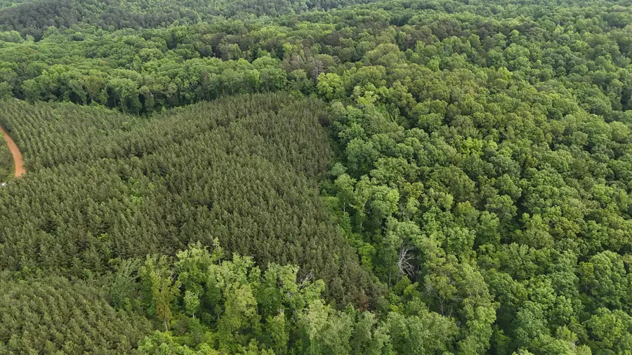 0 Cr 323 & Cr 310, Iuka, MS 38852 - Image #3