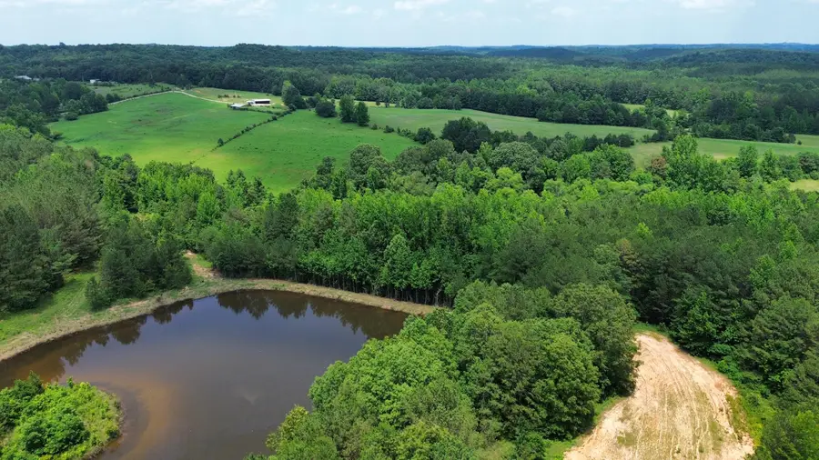 Rooker Road, Myrtle, MS 38650 - Image #2