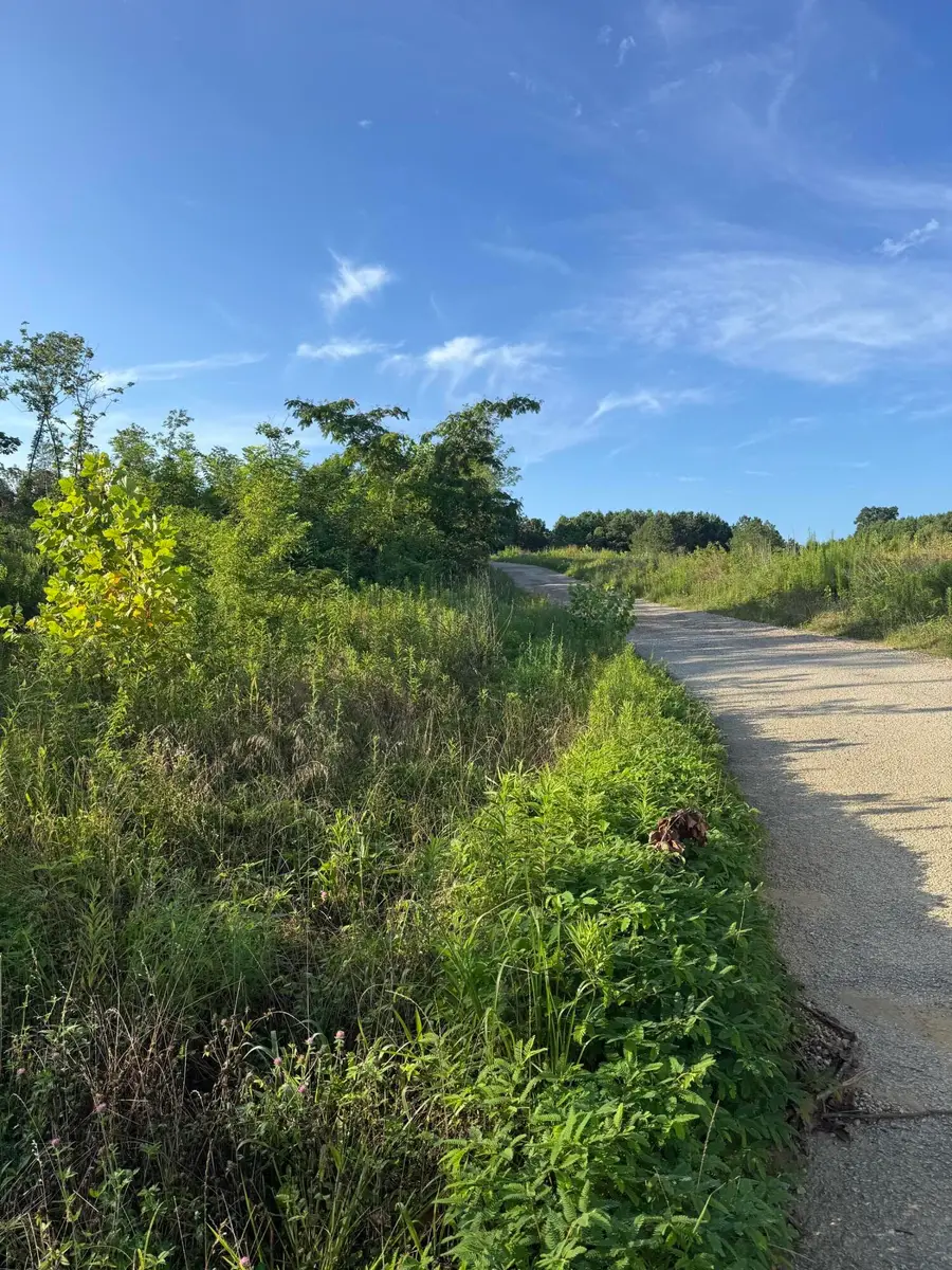 Chapman Road, Pontotoc, MS 38863 - Image #3