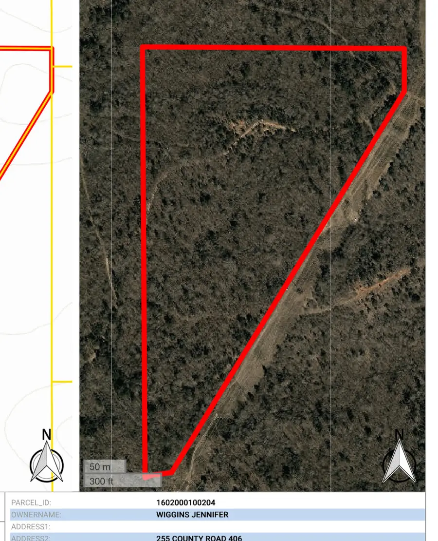 Cr 406, Calhoun City, MS 38916 - #2