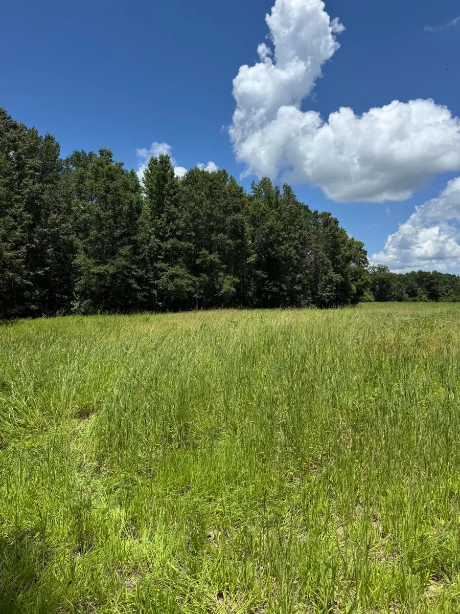 Cr 406, Calhoun City, MS 38916 - #3