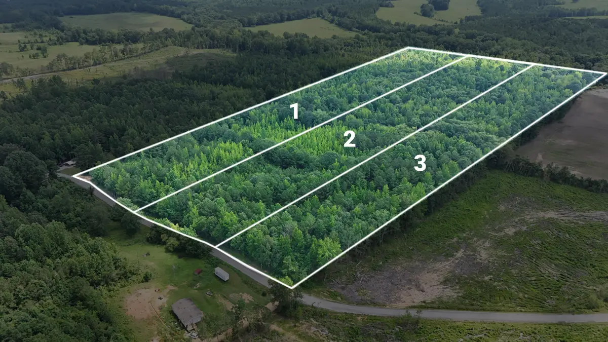 Lot 3 Martin Road Ne, Golden, MS 38847 - Image #1