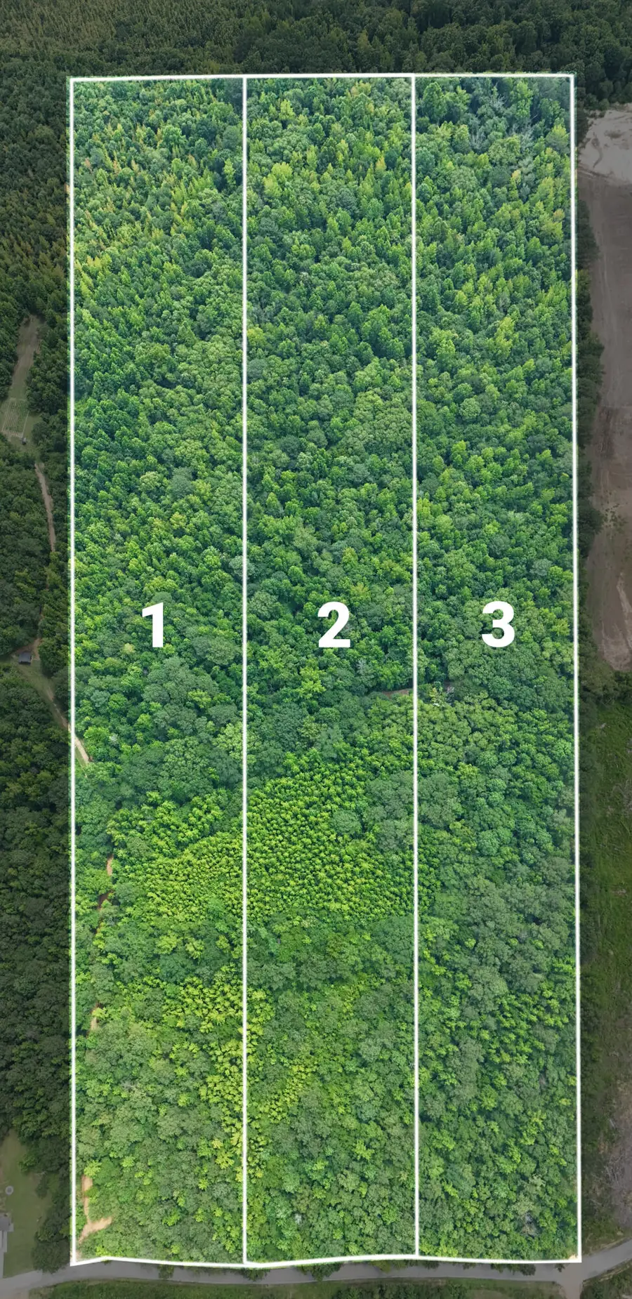 Lot 2 Martin Road Ne, Golden, MS 38847 - Image #3