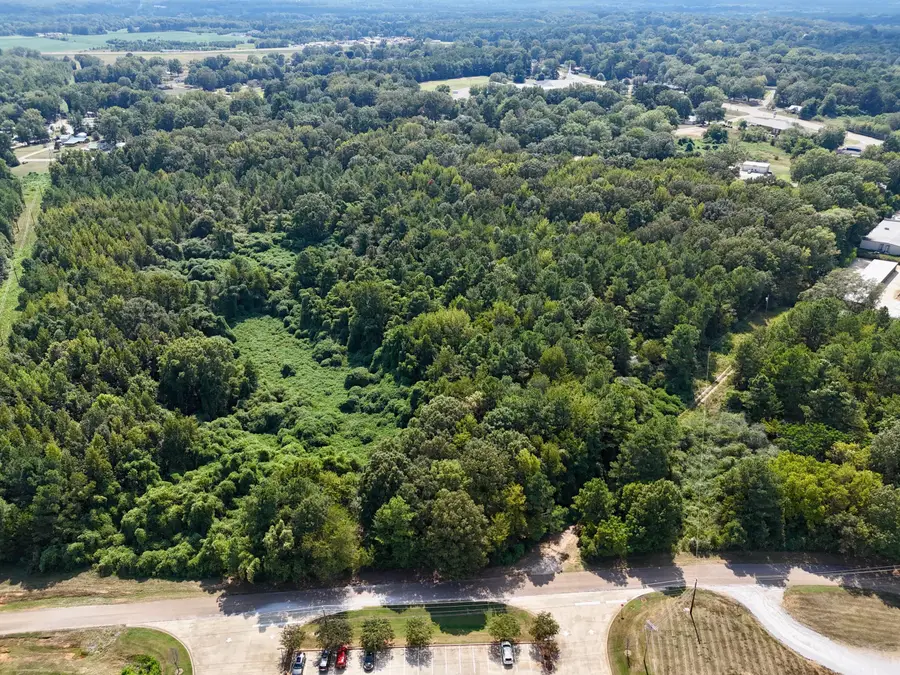 Denmill Rd, New Albany, MS 38652 - Image #2