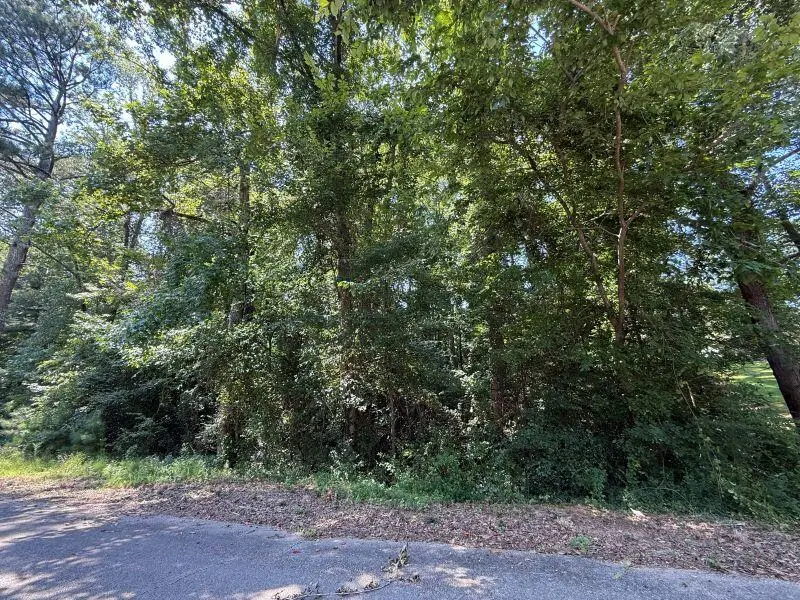 Lot 34 Virginia Dr, Fulton, MS 38843 - Image #2