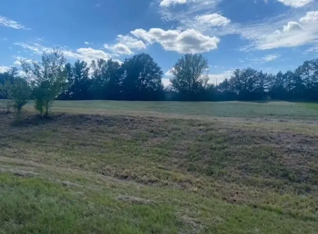 Lot B Katherine Trail, Batesville, MS 38606 - Image #3