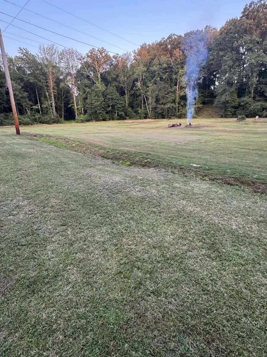 Willow Road, Fulton, MS 38843 - Image #2