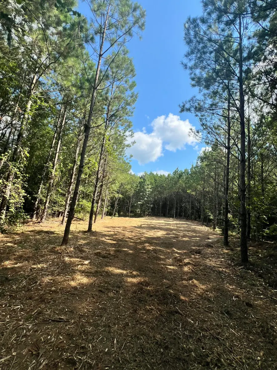 0 Scott Senter Road (170 Ac), Fulton, MS 38843 - Image #3