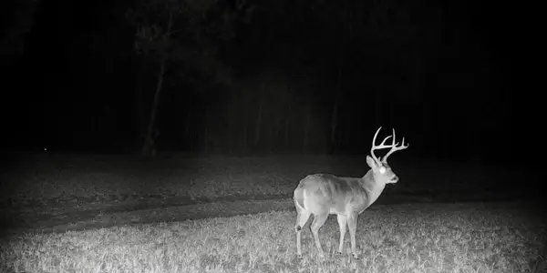 41 County Road 1325, Booneville, MS 38829